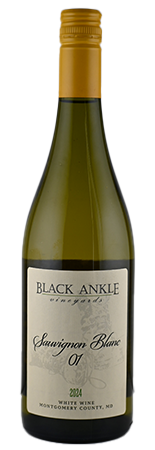 2024 Sauv Blanc 01